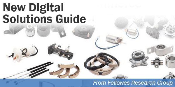 Digital Solutions Guide by Ted Fellowes
